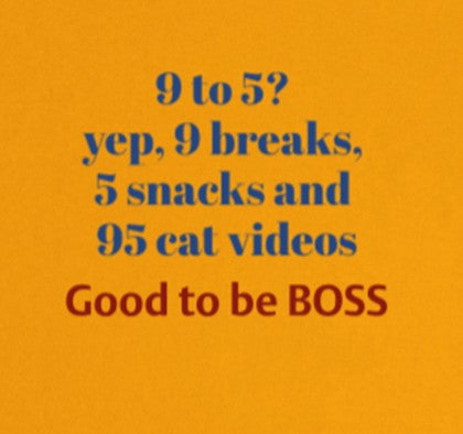 9 to 5 yep, 9 breaks,  5 snacks and 95 cat videos. Good to be BOSS