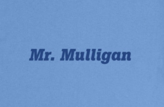 Mr. Mulligan