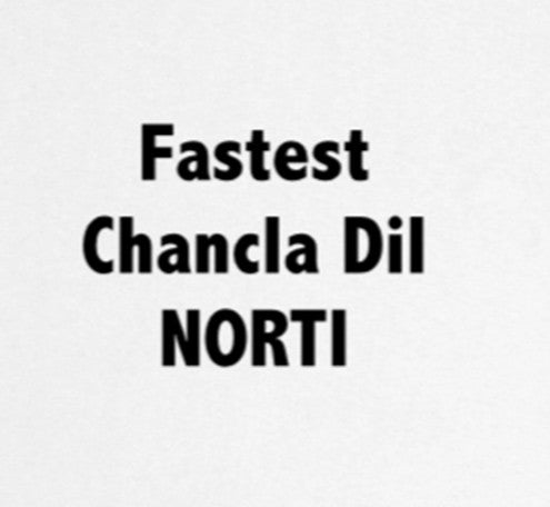 FASTEST CHANCLA DIL NORTI